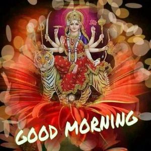 Meet your Posher, Sabita